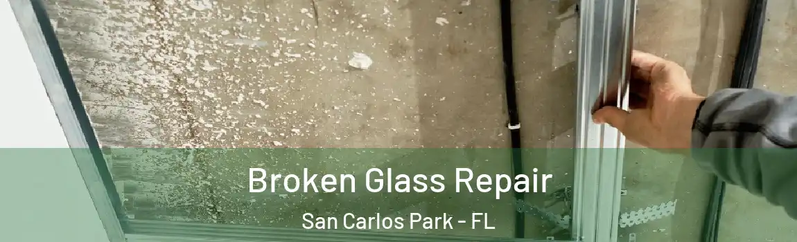 Broken Glass Repair San Carlos Park - FL