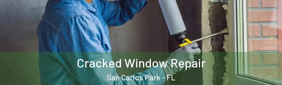  Cracked Window Repair San Carlos Park - FL