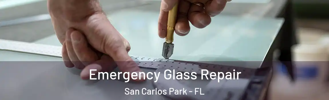  Emergency Glass Repair San Carlos Park - FL
