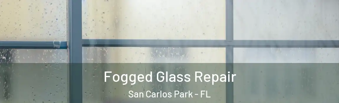 Fogged Glass Repair San Carlos Park - FL