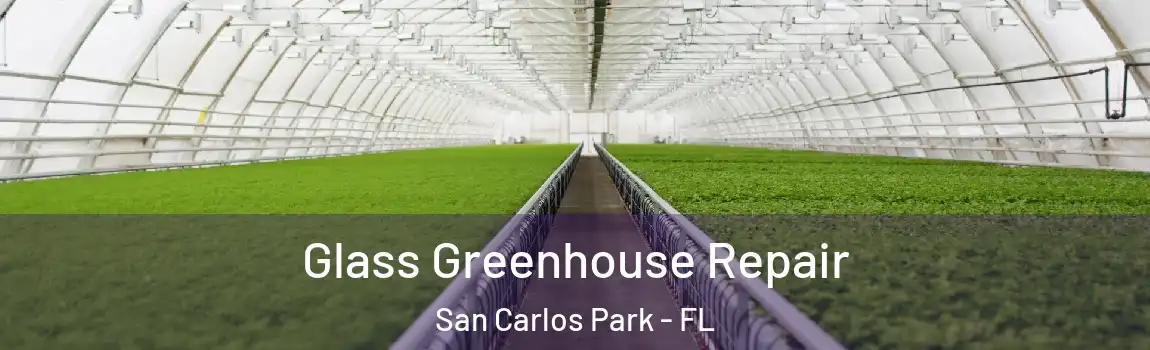  Glass Greenhouse Repair San Carlos Park - FL