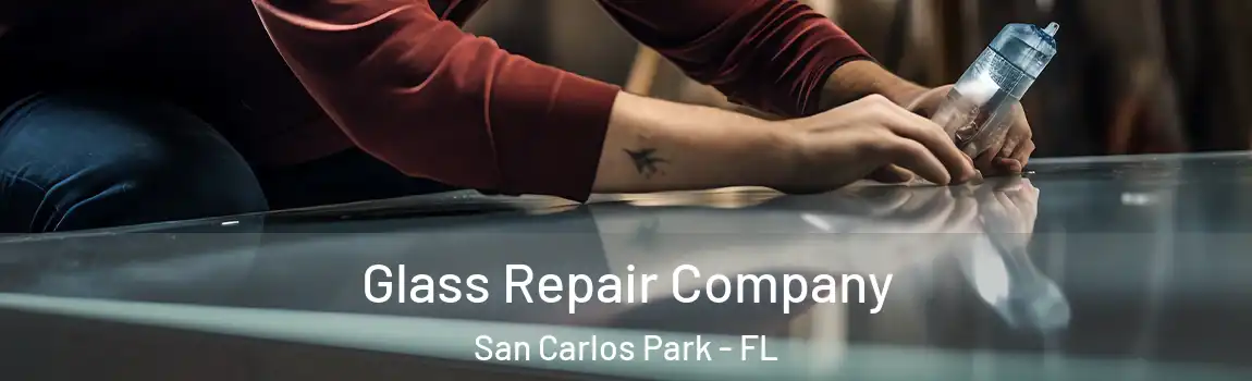  Glass Repair Company San Carlos Park - FL