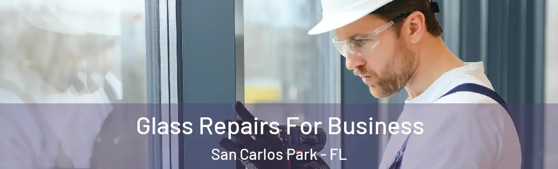  Glass Repairs For Business San Carlos Park - FL