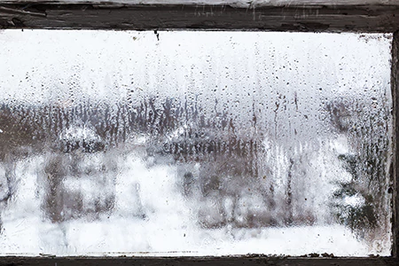Defogging Double Pane Windows in San Carlos Park, FL