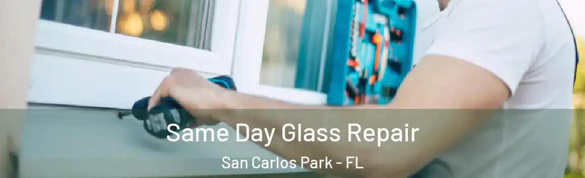 Same Day Glass Repair San Carlos Park - FL