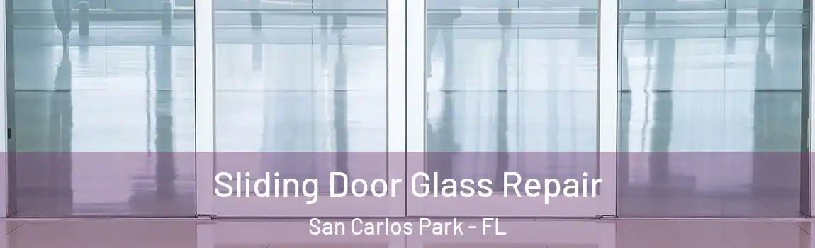  Sliding Door Glass Repair San Carlos Park - FL