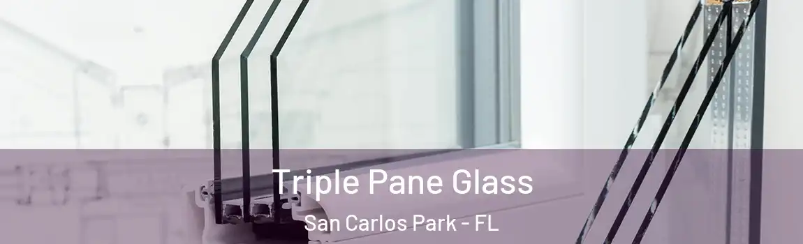  Triple Pane Glass San Carlos Park - FL
