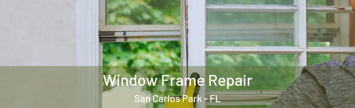 Window Frame Repair San Carlos Park - FL