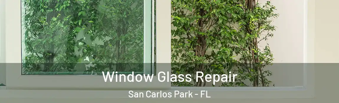 Window Glass Repair San Carlos Park - FL