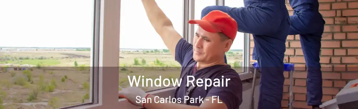 Window Repair San Carlos Park - FL