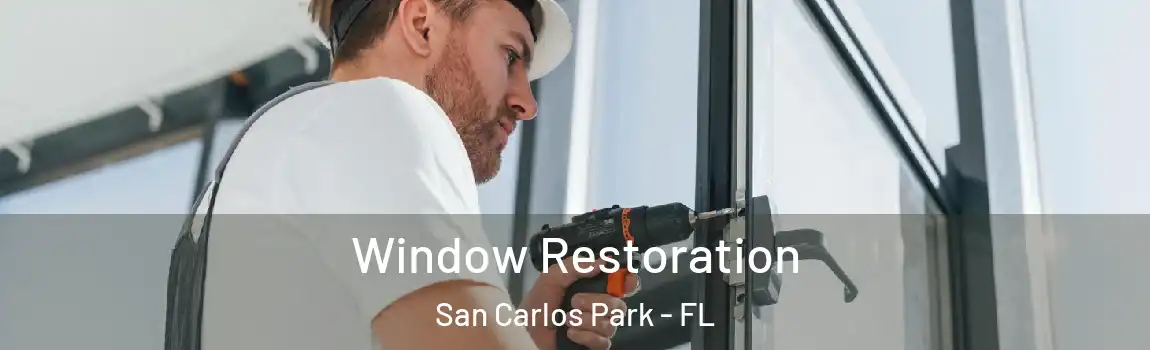  Window Restoration San Carlos Park - FL