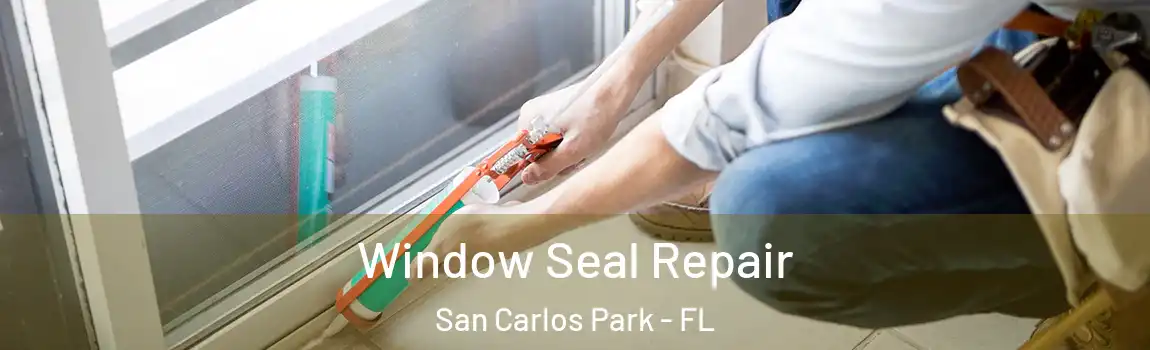  Window Seal Repair San Carlos Park - FL